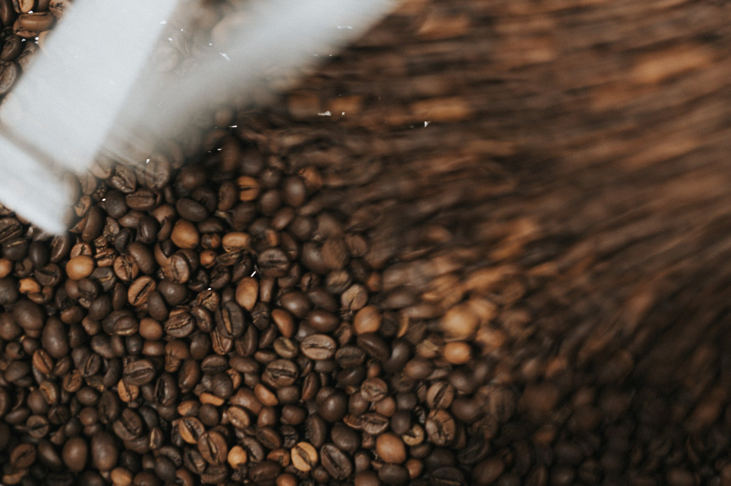 House Blend Roasted Beans